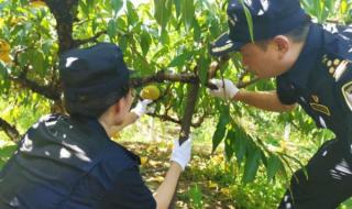 上海注册外贸公司