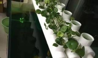 pvc管多少钱 pvc管多少钱