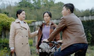 恶霸犬哪种体型最贵 恶霸犬哪种体型最贵