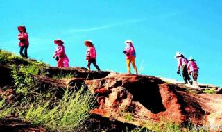 延安市志丹县地貌