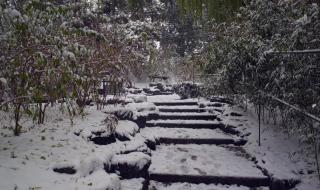 5年级作文雪中即景