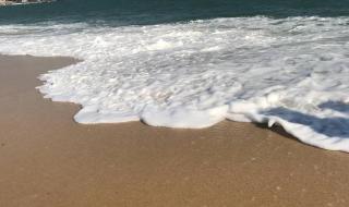 漳州马銮湾 漳州马銮湾