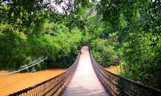 良凤江国家森林公园 良凤江国家森林公园