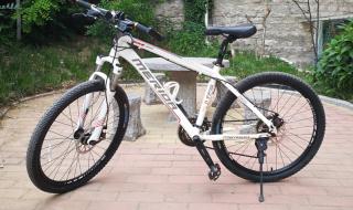 公爵600价格 公爵600价格