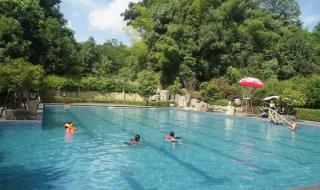 紫龙湾温泉 紫龙湾温泉