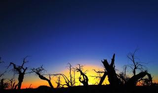 数万人看问天发射