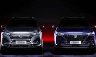 环比同比是什么意思 环比同比是什么意思