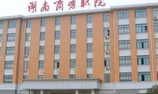 湖南商务职业技术学院 湖南商务职业技术学院