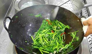 4号立春几点几分