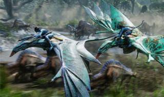 阿凡达2水之道4k资源